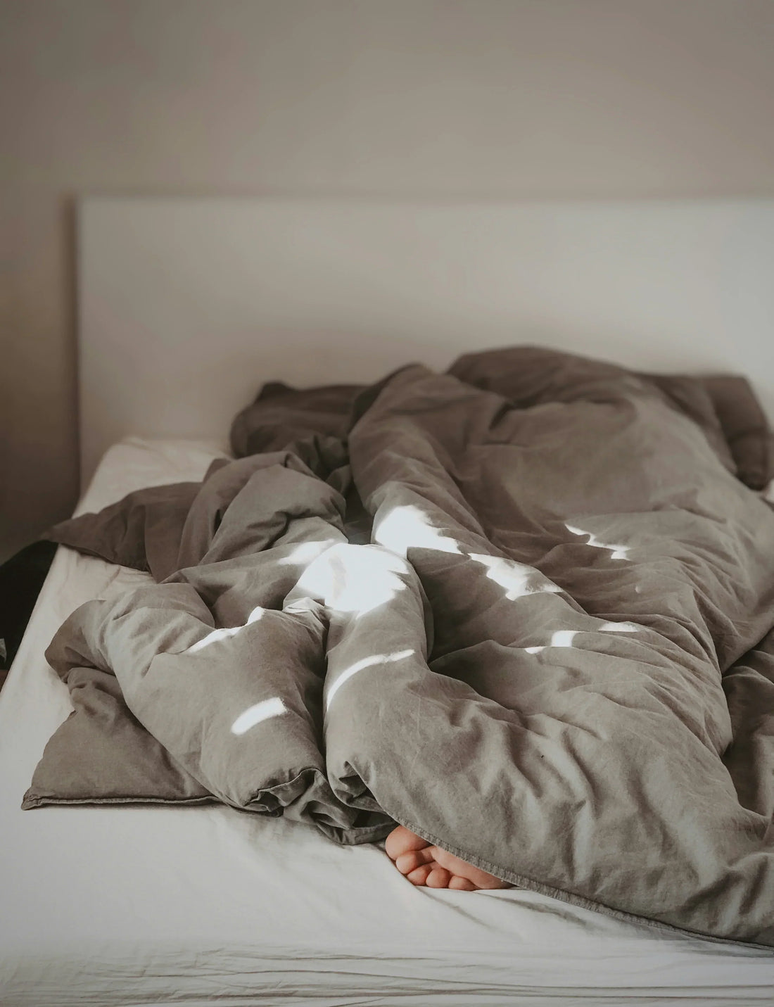 The Sleep-Well Guide: Mind, Body & Comfort